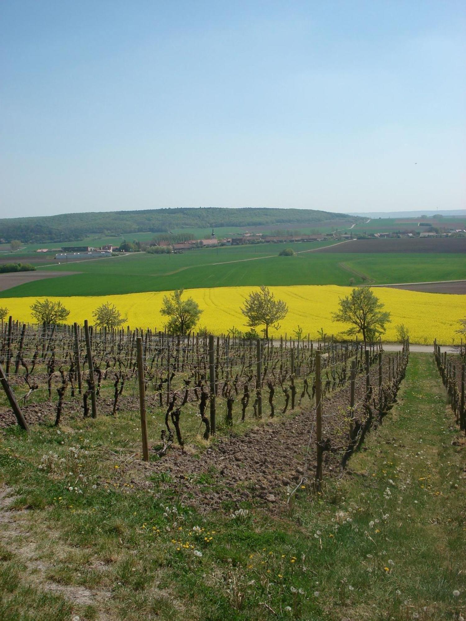 Landgasthof Zum Schwarzen Adler Hotel Markt Nordheim Екстериор снимка